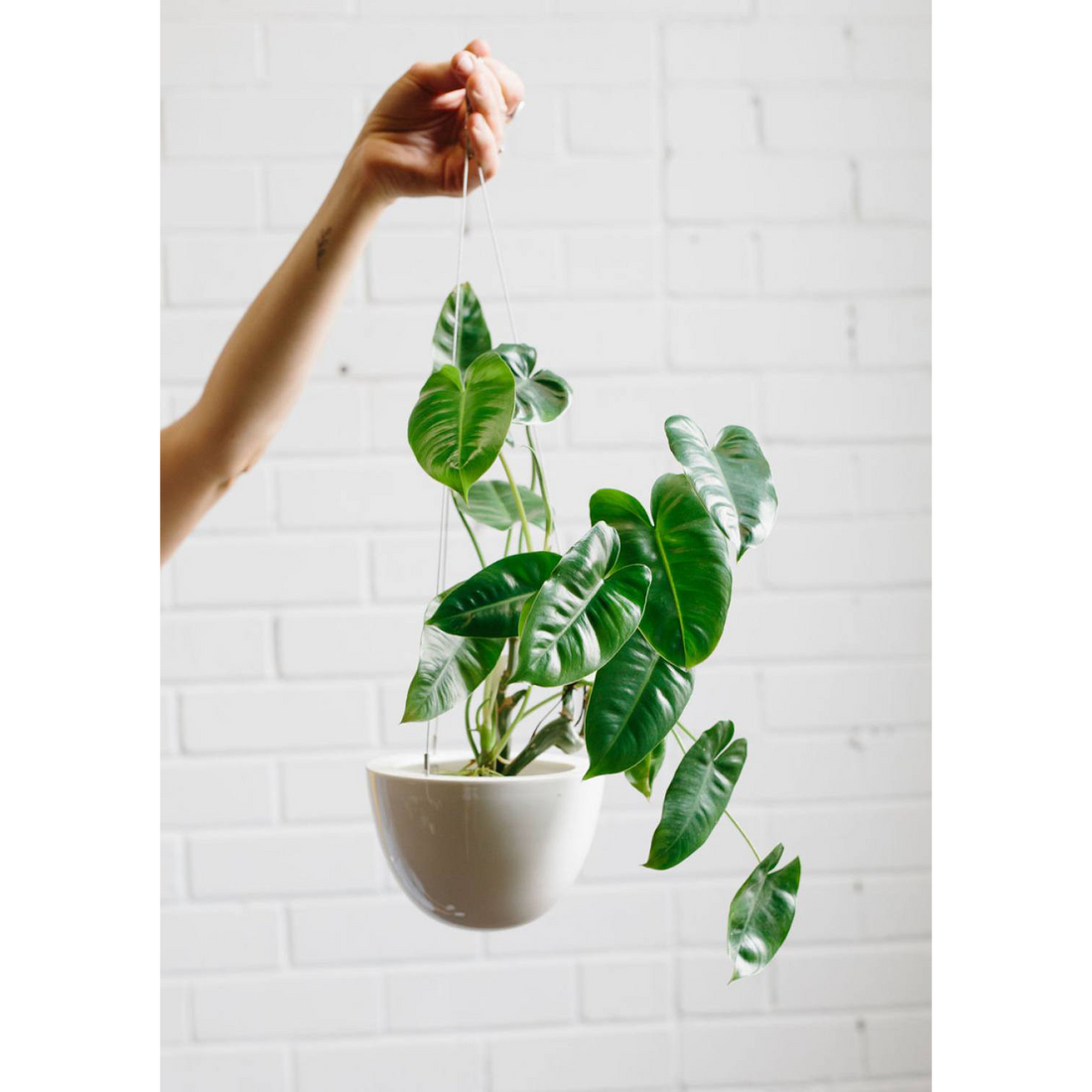 White Hanging Planter Small