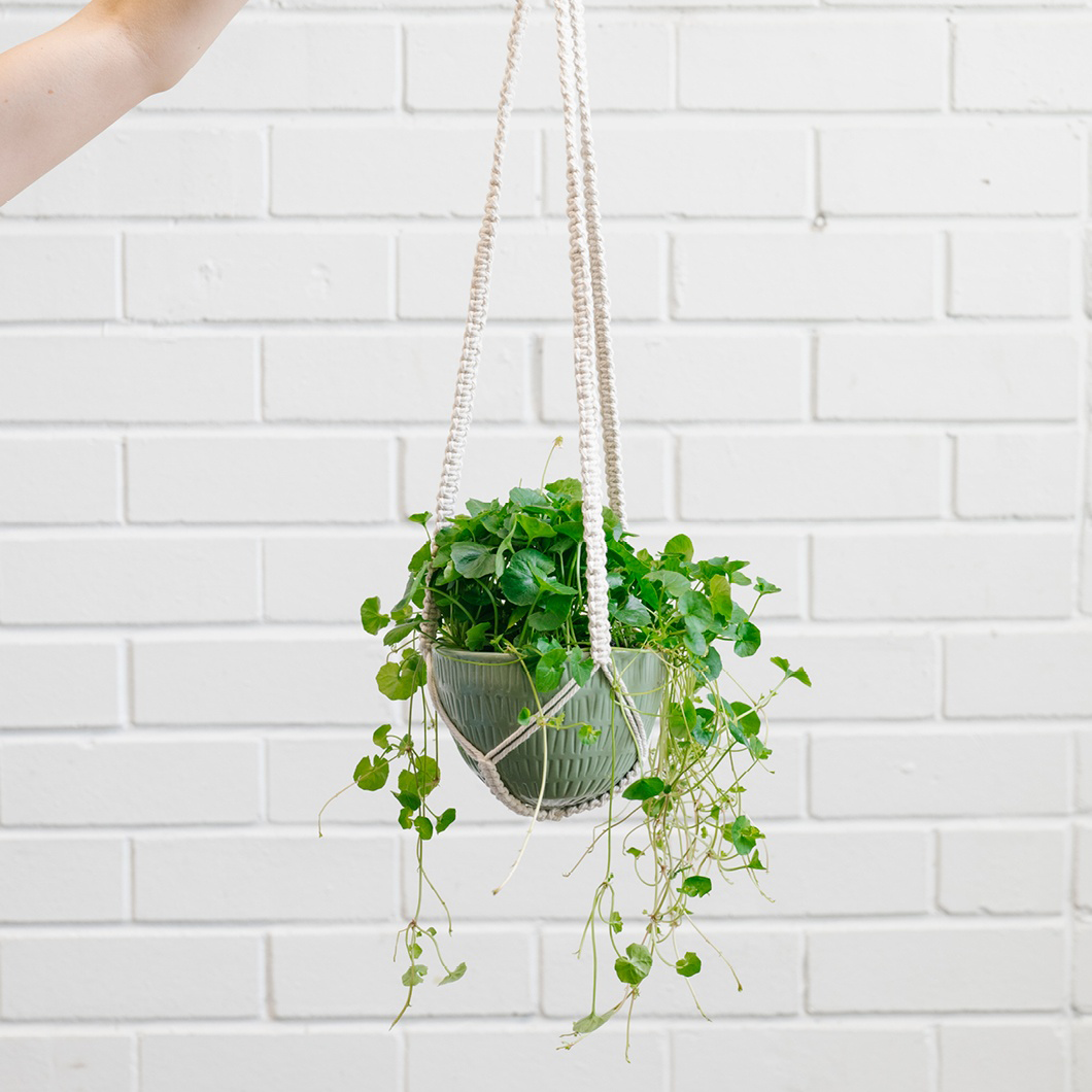 Macrame Hanging Planter Olive Green